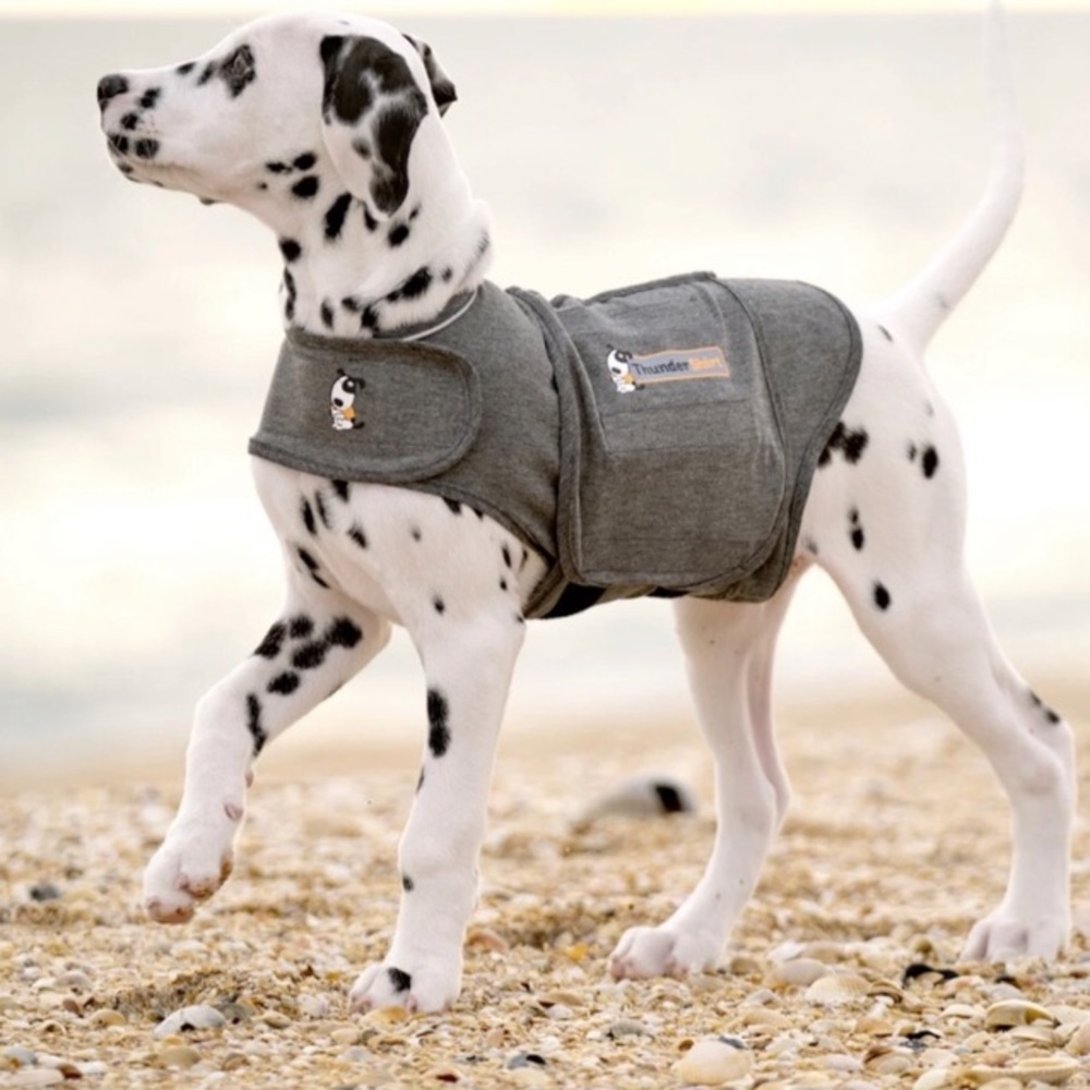 Thundershirt for Dogs